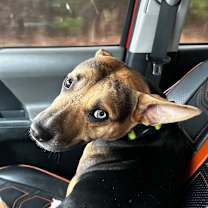 Thumbnail photo of Scram #3