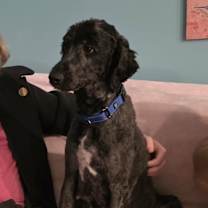 Thumbnail photo of Snow White  #4