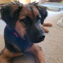 Thumbnail photo of Lady 8714 #1