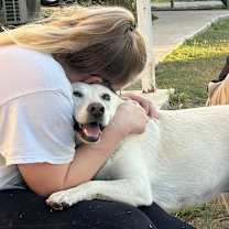 Thumbnail photo of Lucy #1