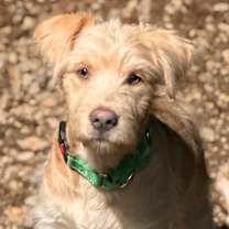 Thumbnail photo of Kitty #1