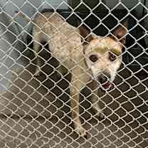 Thumbnail photo of Sugar #2