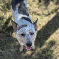 Thumbnail photo of Jolene #2