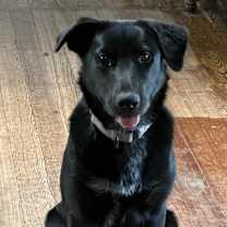 Thumbnail photo of Valerie #3