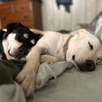 Thumbnail photo of Lucy #4