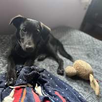 Thumbnail photo of Valerie #4