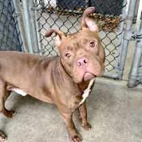 Thumbnail photo of Borscht #2