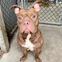 Thumbnail photo of Borscht #4