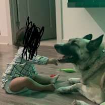 Thumbnail photo of Kayzo #3