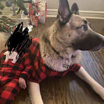 Thumbnail photo of Kayzo #4