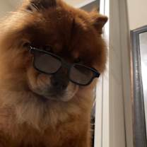 Thumbnail photo of Mello #4