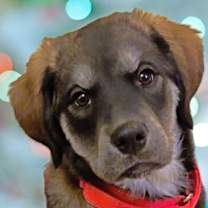 Thumbnail photo of Asia #1