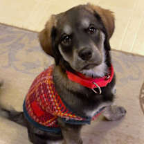 Thumbnail photo of Asia #2