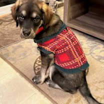 Thumbnail photo of Asia #3