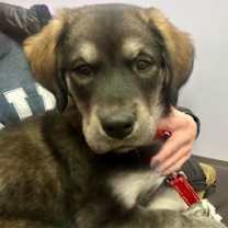 Thumbnail photo of Asia #4