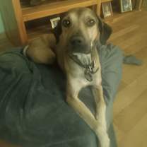 Thumbnail photo of Carmen #1