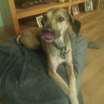 Thumbnail photo of Carmen #2