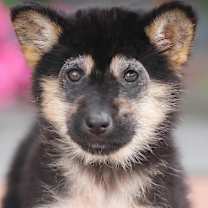 Thumbnail photo of Holly von Gracie #1