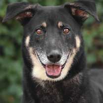 Thumbnail photo of Bixby von Bitz #1