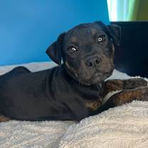 Thumbnail photo of June #2