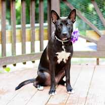 Thumbnail photo of Bug #1