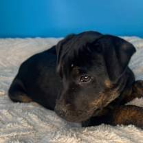 Thumbnail photo of June #3