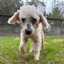 Thumbnail photo of Coltyn #1