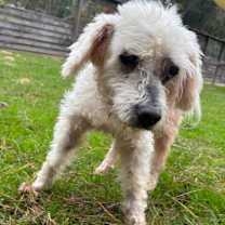 Thumbnail photo of Coltyn #2