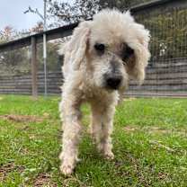 Thumbnail photo of Coltyn #3