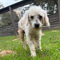 Thumbnail photo of Coltyn #4