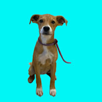 Thumbnail photo of Julie #1