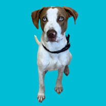 Thumbnail photo of David #1