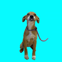 Thumbnail photo of Julie #2