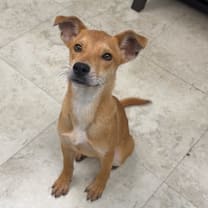 Thumbnail photo of Bonita #4