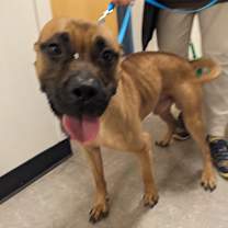 Thumbnail photo of Tofurky #1