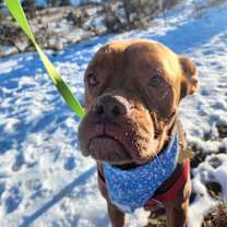 Thumbnail photo of Honey #1