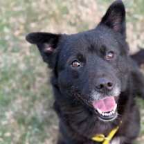 Thumbnail photo of Zeb #1