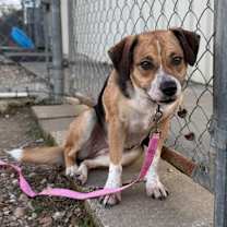 Thumbnail photo of Laydee #1