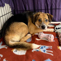 Thumbnail photo of Laydee #4