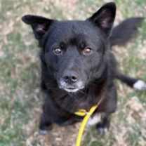 Thumbnail photo of Zeb #3