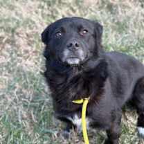 Thumbnail photo of Zeb #4