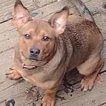 Thumbnail photo of Clark #1