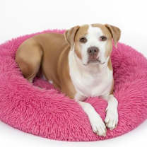 Thumbnail photo of Becky #1