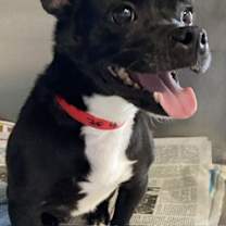 Thumbnail photo of Tokyo*SN* #1