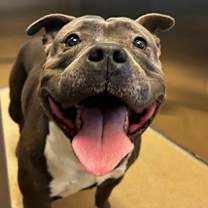 Thumbnail photo of Malo-HW (+) #1