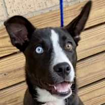 Thumbnail photo of Stormi #1