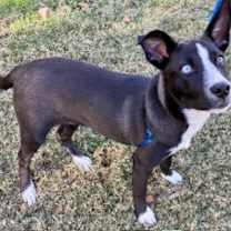 Thumbnail photo of Stormi #2