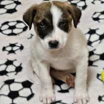 Thumbnail photo of Rydel #1