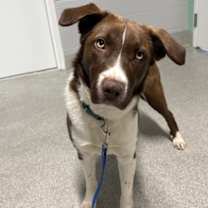 Thumbnail photo of Hangar #1