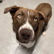 Thumbnail photo of Hangar #2